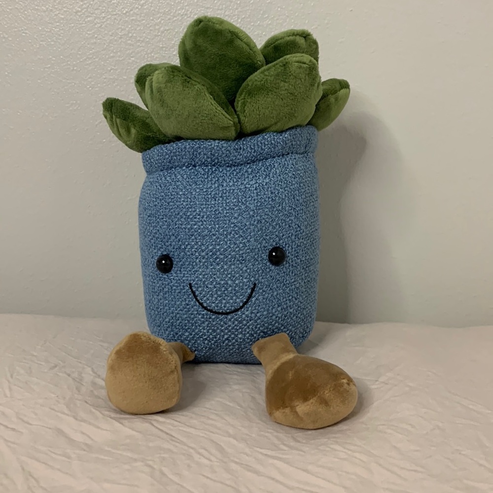 Plant Succulent Decor